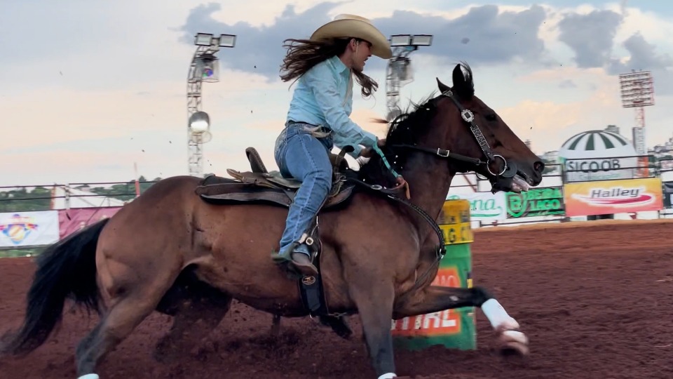 Imagem Últimas Notícias