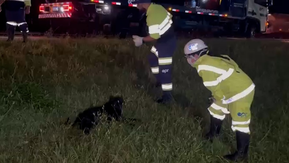 Imagem Últimas Notícias