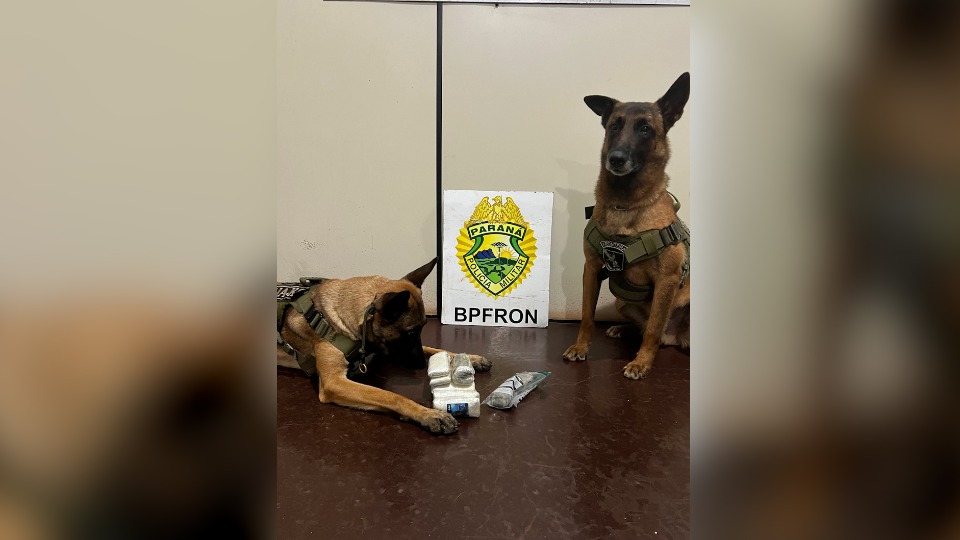 Imagem Últimas Notícias