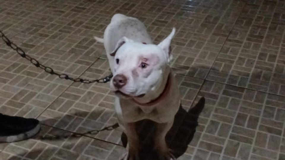 Imagem Últimas Notícias