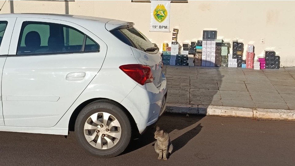 Imagem Últimas Notícias