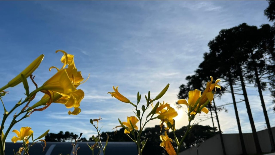 Imagem Últimas Notícias