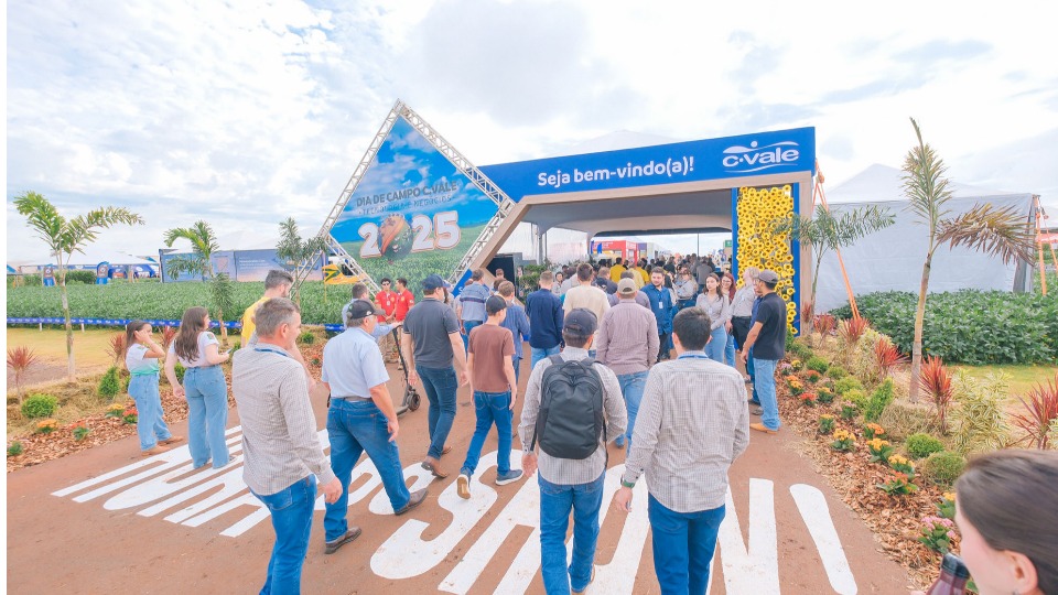 Imagem Últimas Notícias