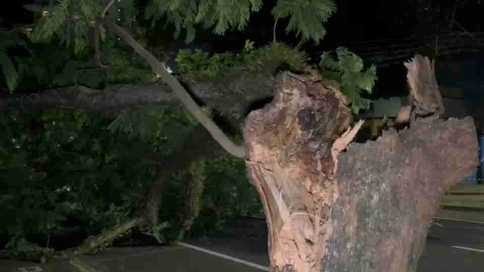 Imagem Últimas Notícias