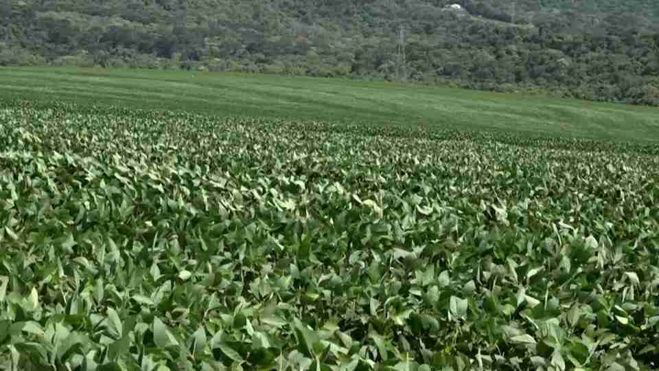 Imagem Últimas Notícias