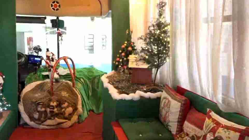 Imagem Últimas Notícias