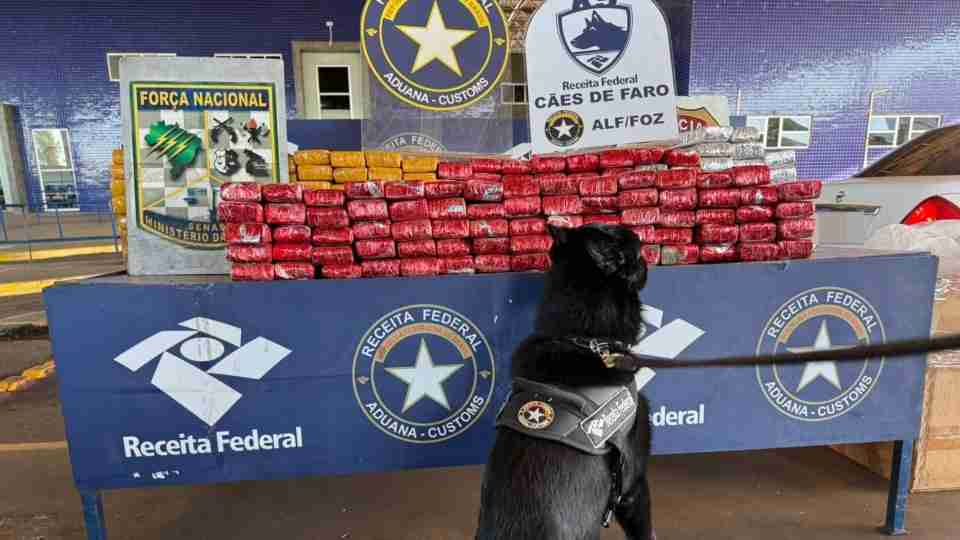 Imagem Últimas Notícias