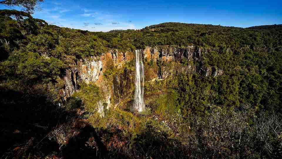 Imagem Últimas Notícias