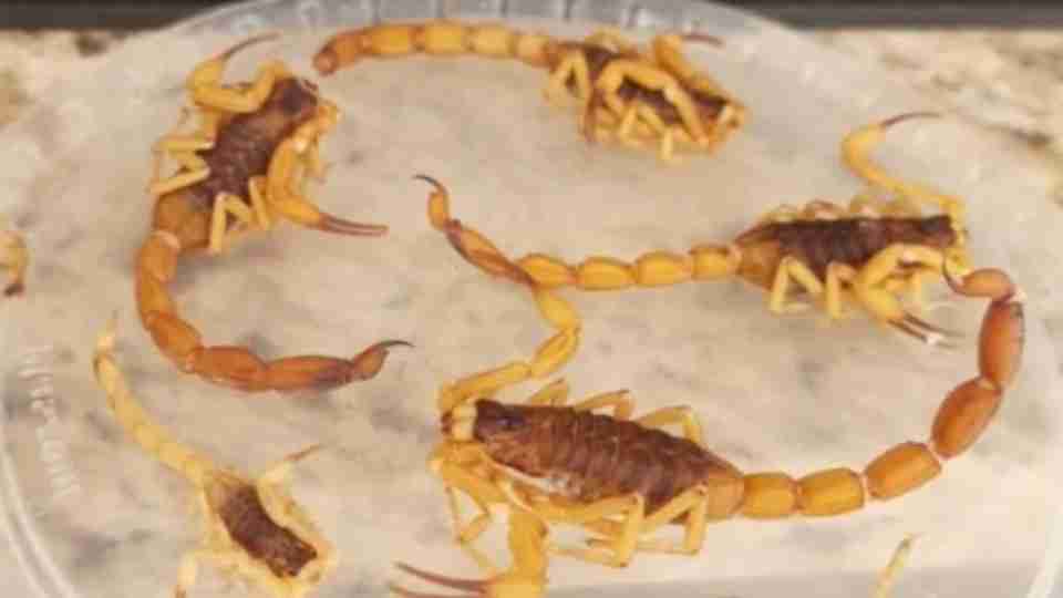 Imagem Últimas Notícias