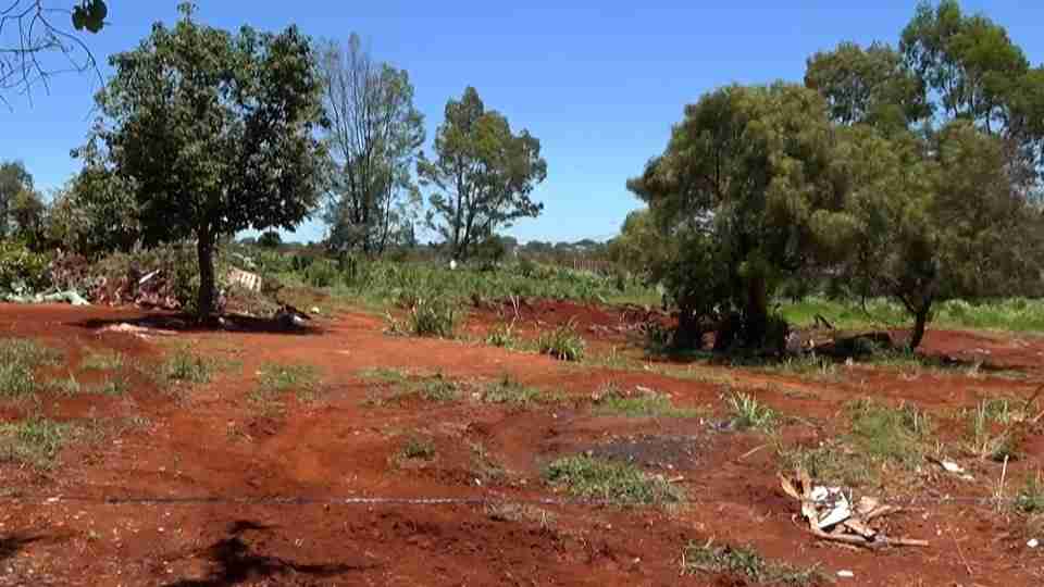 Imagem Últimas Notícias