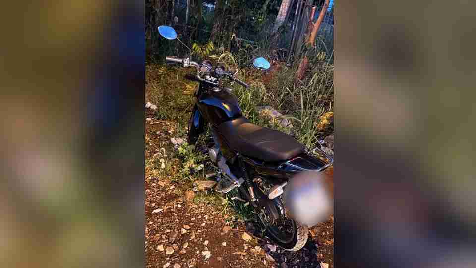 Imagem Últimas Notícias