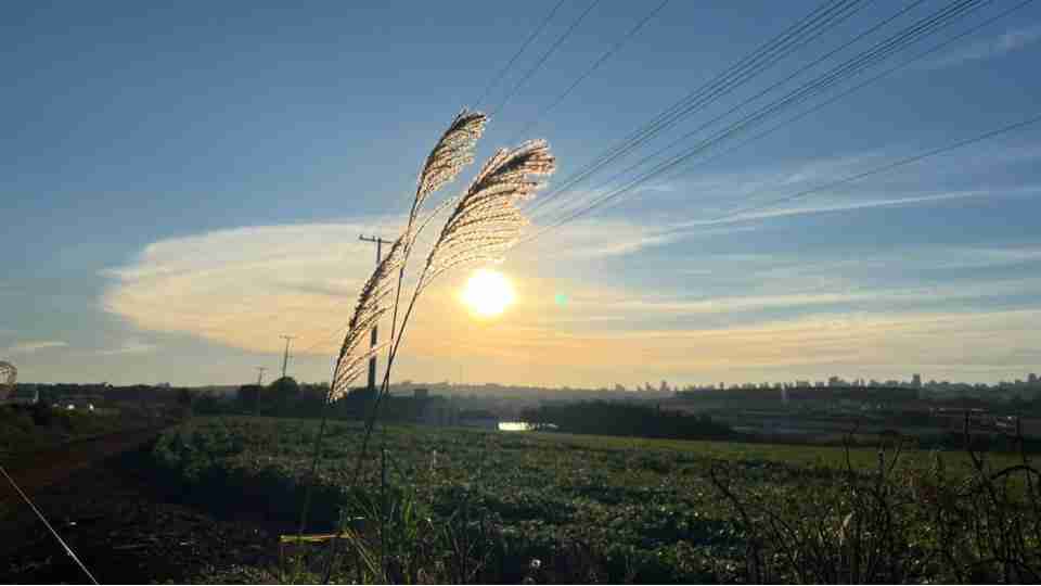 Imagem Últimas Notícias