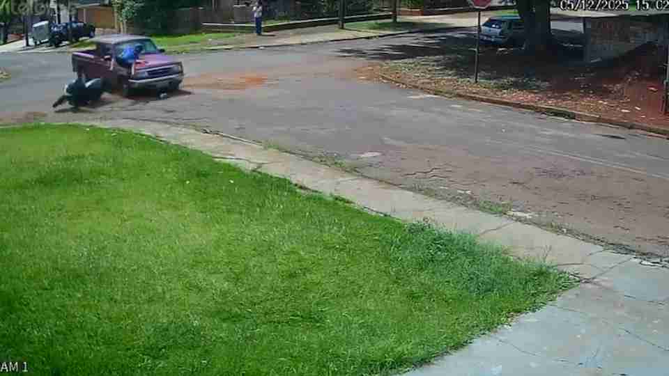 Notícia Relacionada