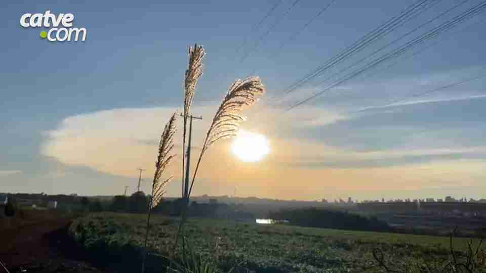 Imagem Últimas Notícias