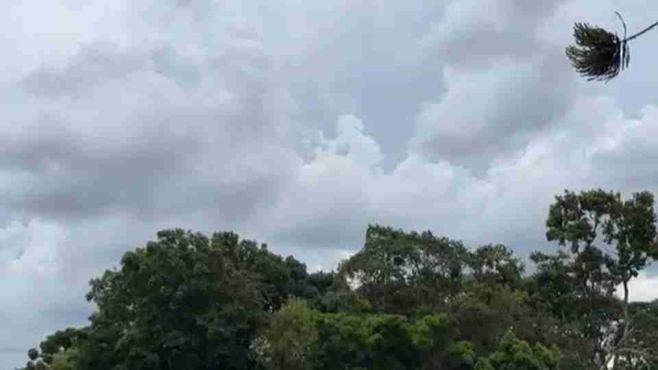 Imagem Últimas Notícias