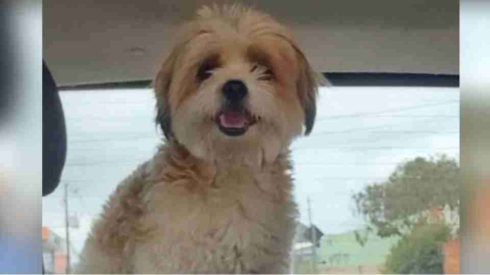 Imagem Últimas Notícias