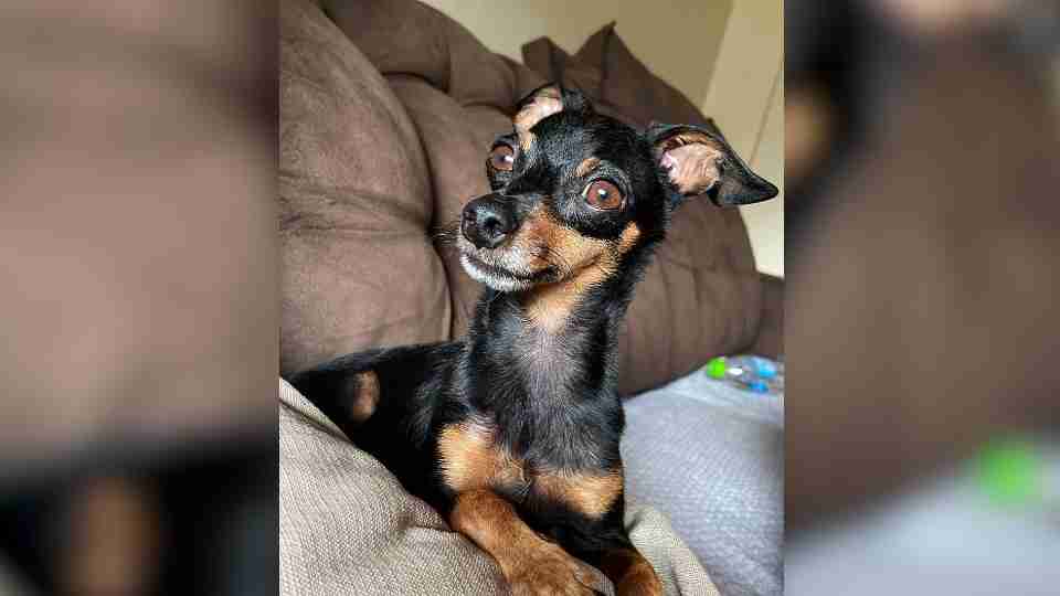 Imagem Últimas Notícias