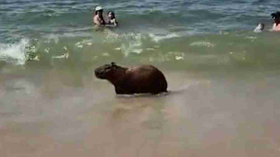 Imagem Últimas Notícias