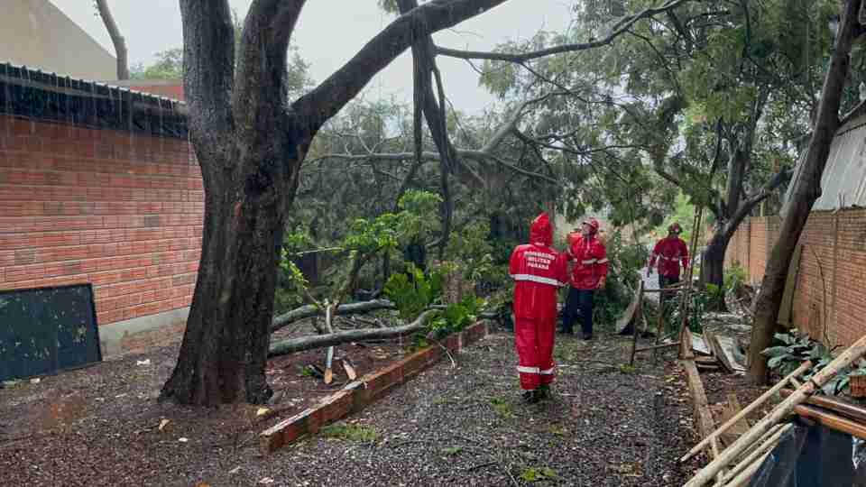 Imagem Últimas Notícias