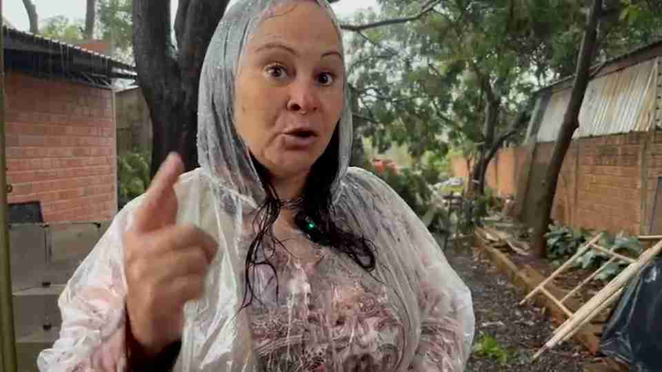 Imagem Últimas Notícias