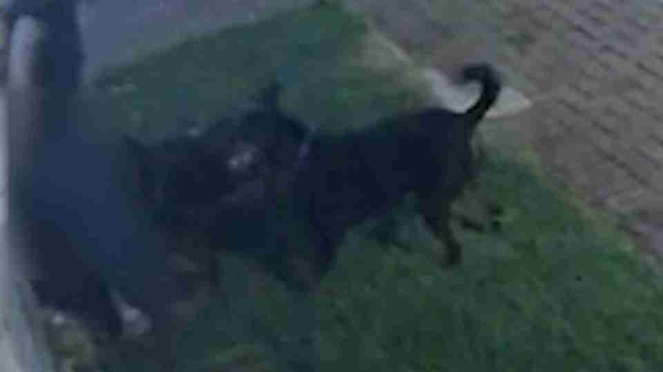 Imagem Últimas Notícias