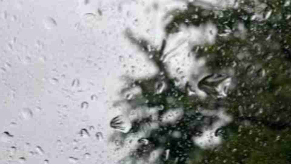 Imagem Últimas Notícias