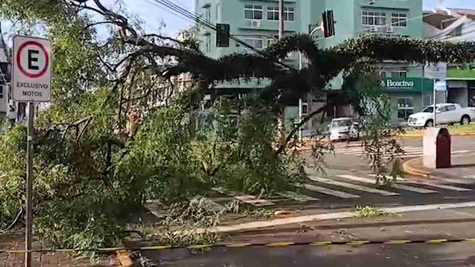 Imagem Últimas Notícias