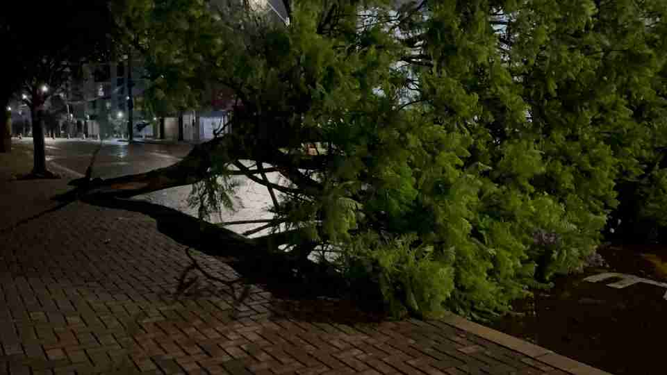 Imagem Últimas Notícias