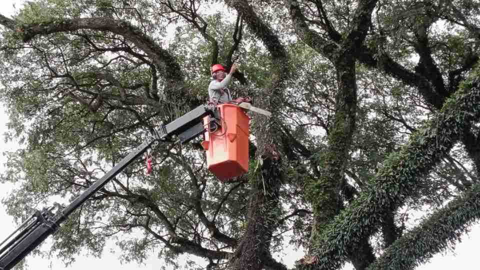 Imagem Últimas Notícias