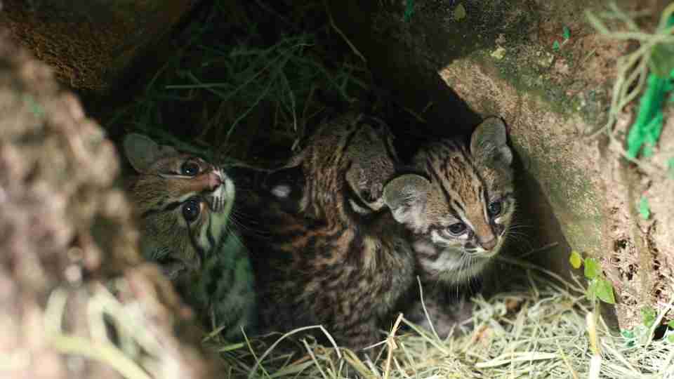 Imagem Últimas Notícias