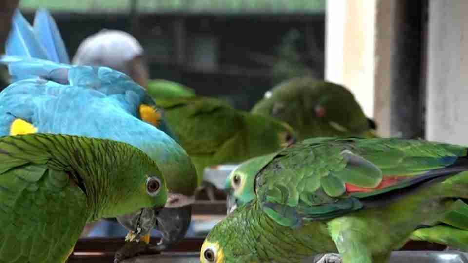 Imagem Últimas Notícias