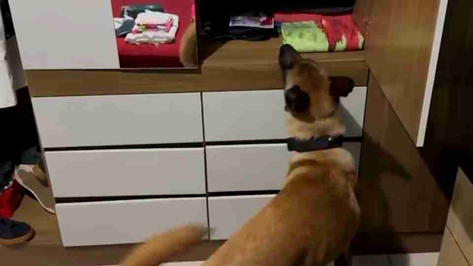 Imagem Últimas Notícias