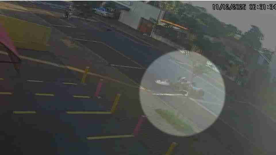 Notícia Relacionada