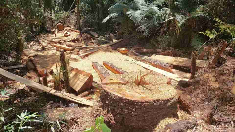 Imagem Últimas Notícias