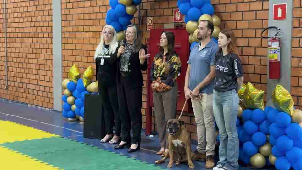 Imagem Últimas Notícias