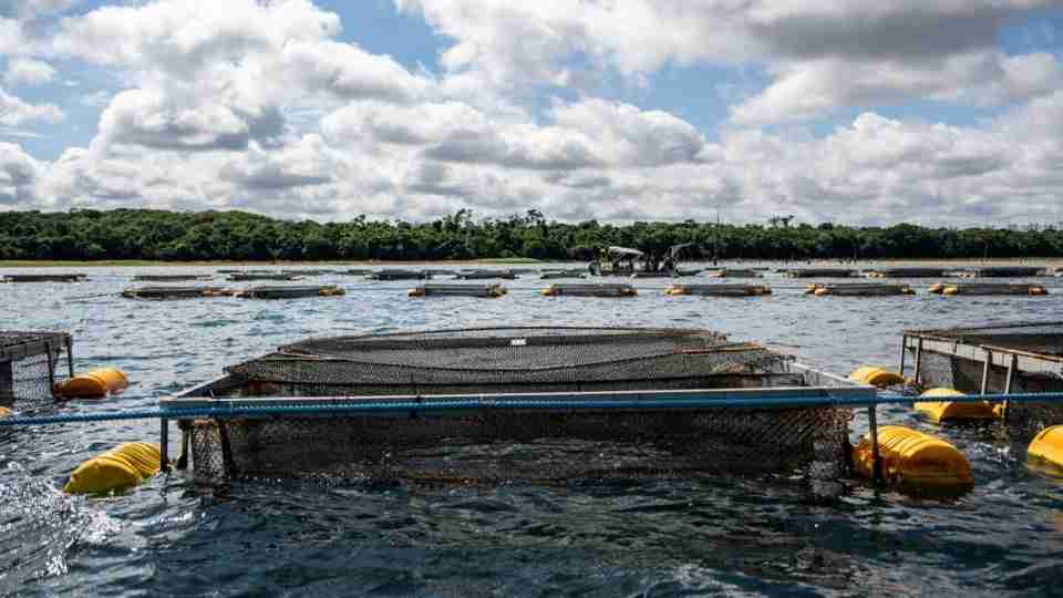 Imagem Últimas Notícias