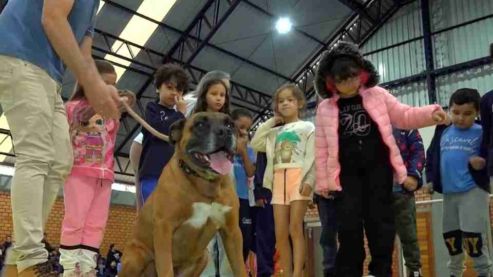 Imagem Últimas Notícias