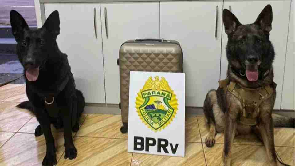 Imagem Últimas Notícias