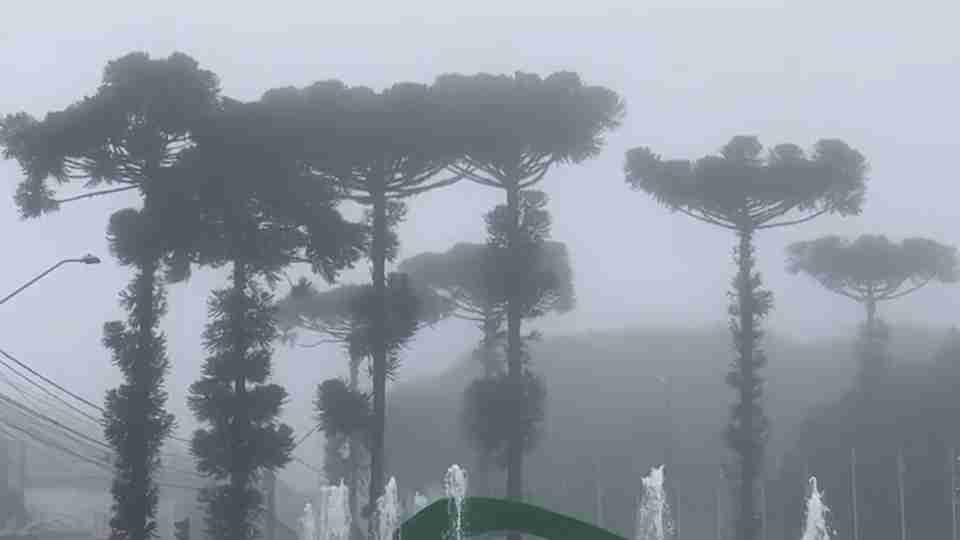 Imagem Últimas Notícias