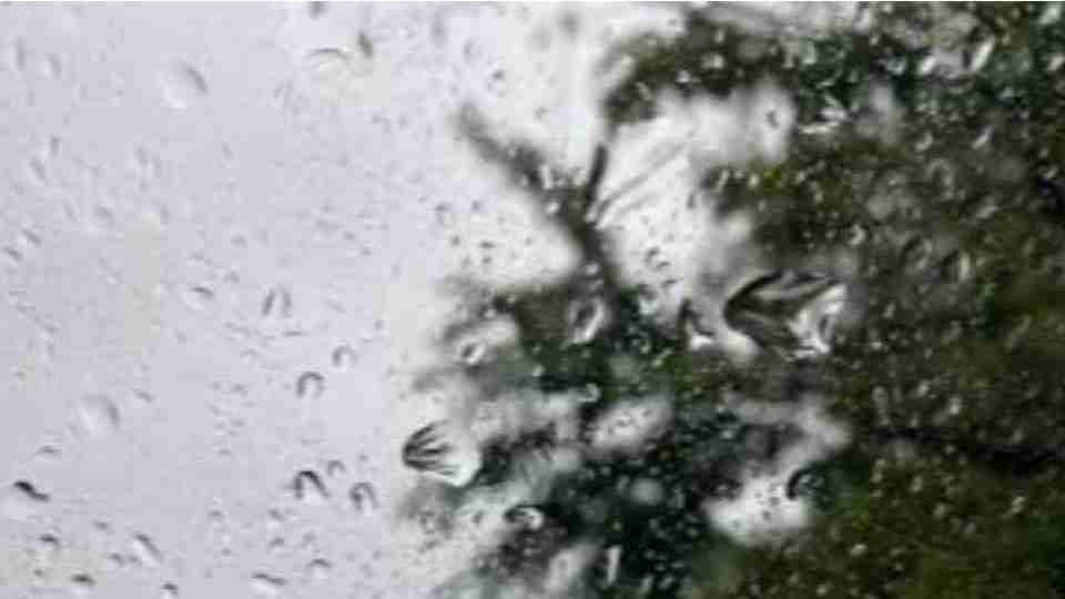 Imagem Últimas Notícias