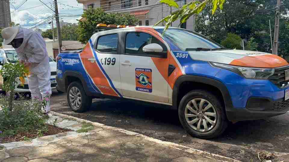 Imagem Últimas Notícias