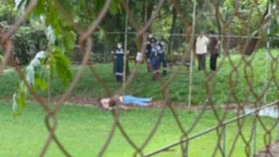 Imagem Últimas Notícias