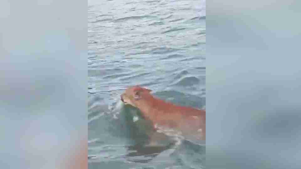 Imagem Últimas Notícias