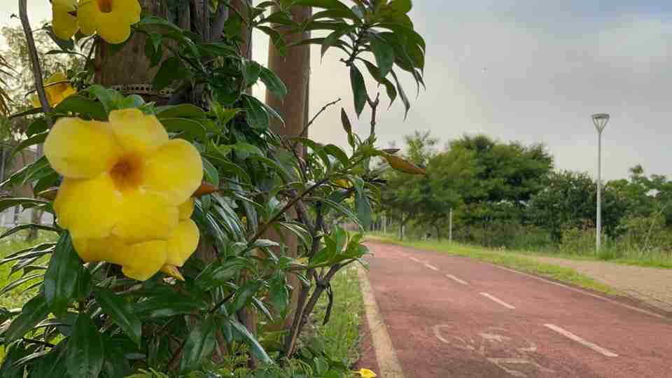 Imagem Últimas Notícias