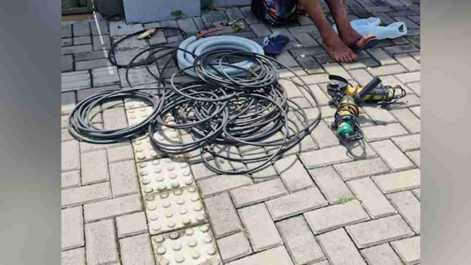 Imagem Últimas Notícias