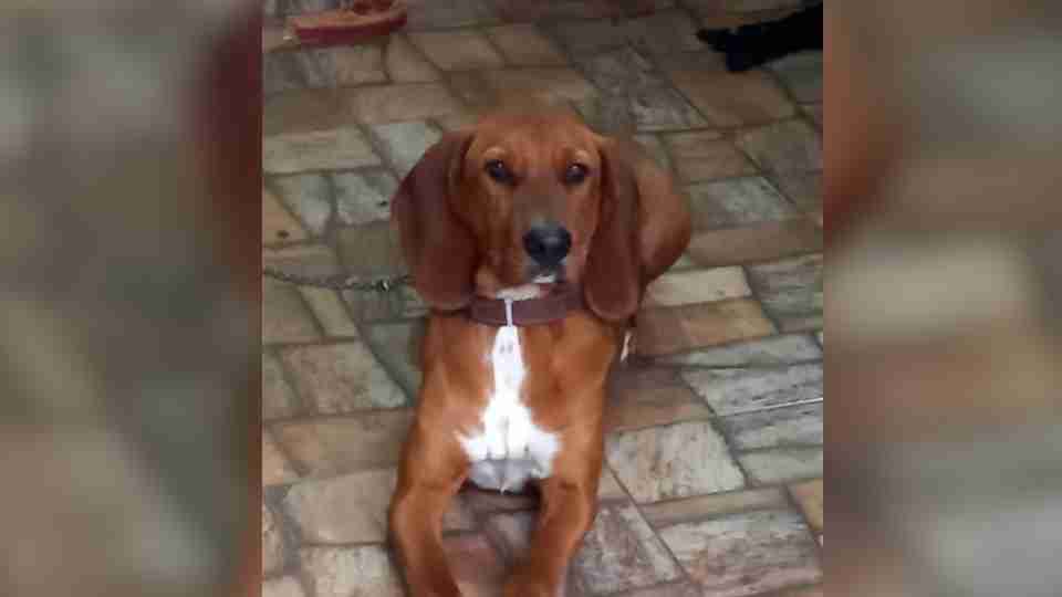 Imagem Últimas Notícias