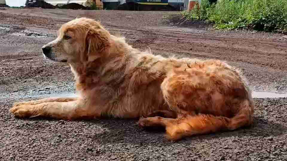 Imagem Últimas Notícias