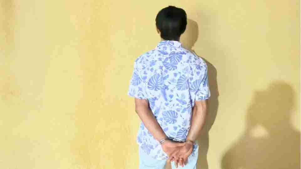 Imagem Últimas Notícias