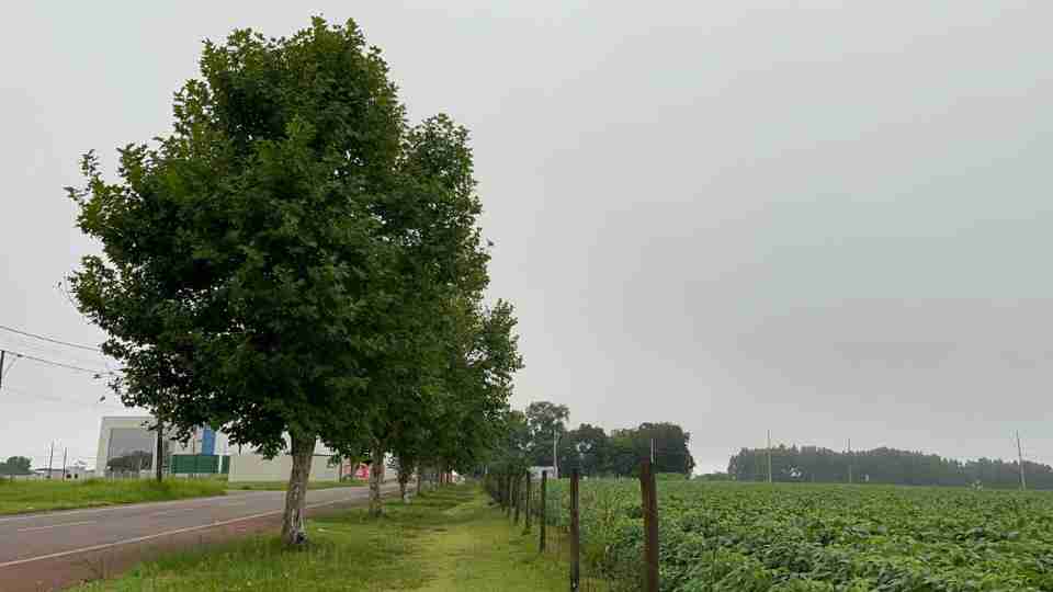 Imagem Últimas Notícias