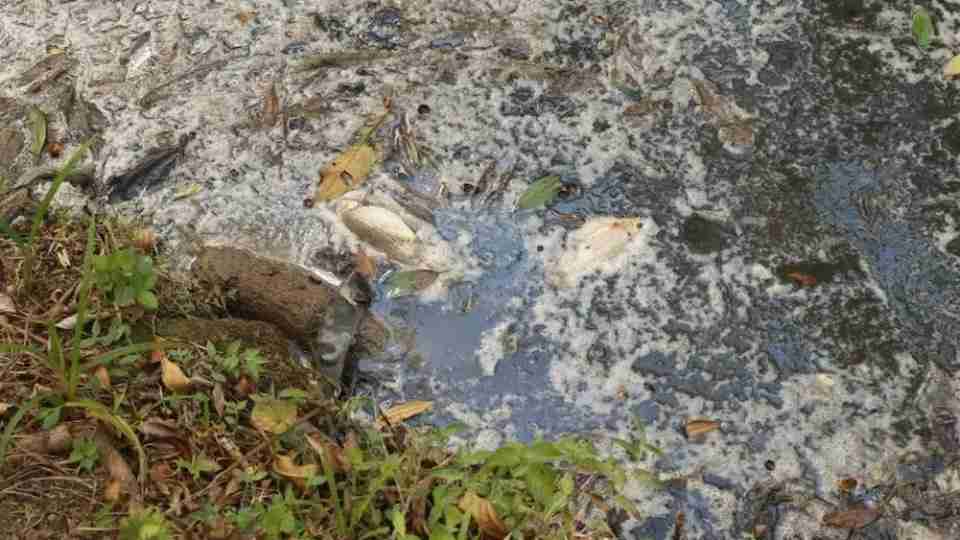 Imagem Últimas Notícias